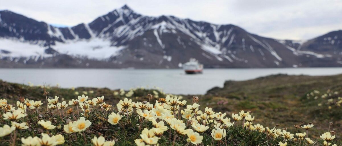 Zum Wohle der Umwelt: Das sollten Sie vor Ihrer Seereise nach Spitzbergen wissen