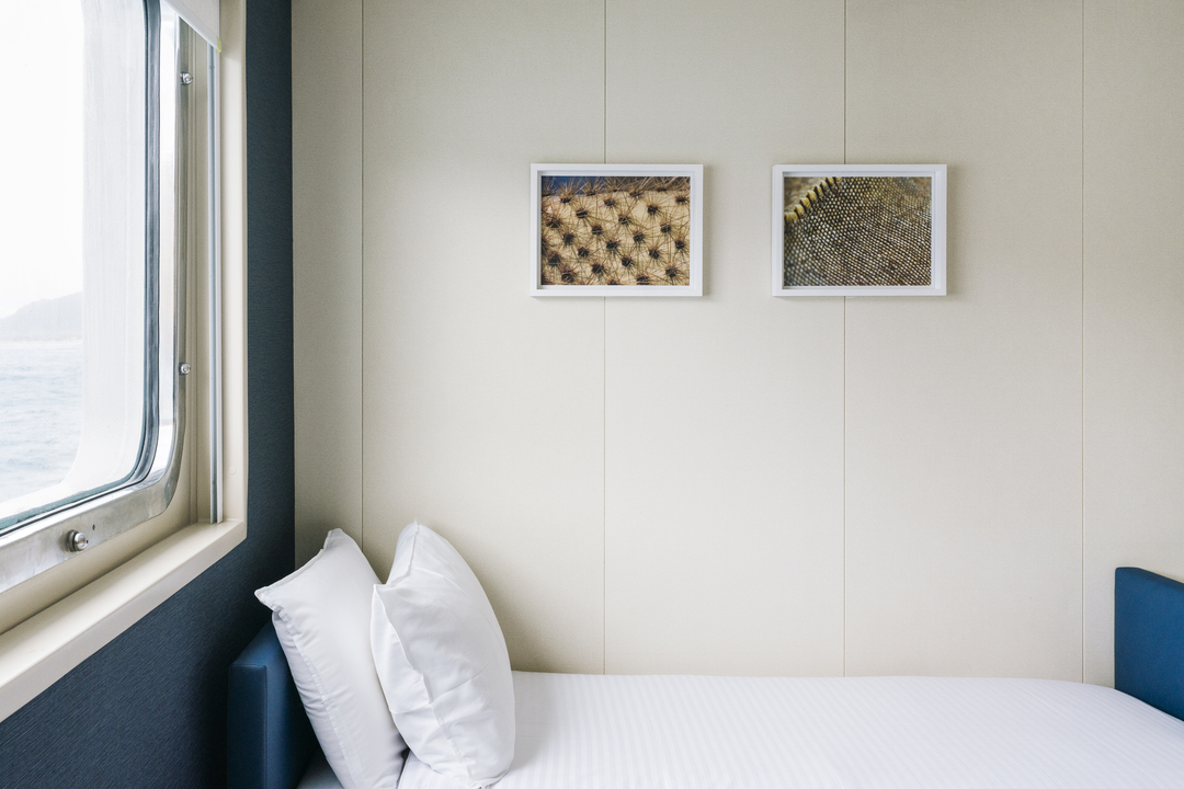 Im Vordergrund der Explorer Familienkabine ist ein Bett mit weißer Bettwäsche und zwei weißen Kissen zu sehen. Rechts neben dem Bett befindet sich eine Wand in einem neutralen Farbton mit zwei kleinen Bildern, die Nahaufnahmen von texturierten Oberflächen darstellen. Links im Bildrahmen ist ein großes Fenster, durch das man das Meer und einen Teil der Küste draußen erkennen kann.