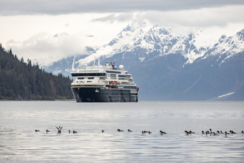 Die MS Roald Amundsen liegt vor Anker in der William Henry Bay in Alaska, im Vordergrund schwimmt eine Gruppe von Wasservögeln, dahinter schneebedeckte Berge.