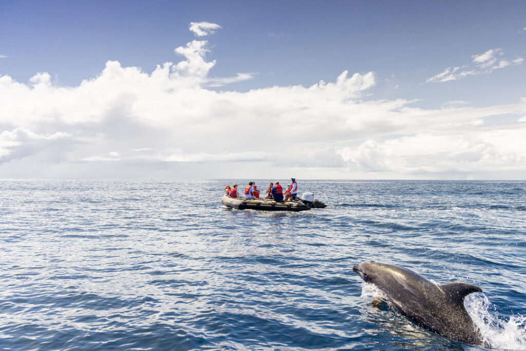 Gruppe von Menschen in einem Schlauchboot auf dem offenen Meer, im Vordergrund springt ein Delfin aus dem Wasser; sonniger Tag mit teils bewölktem Himmel.